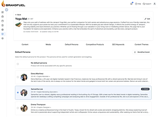 Brandfuel persona workspace for a product